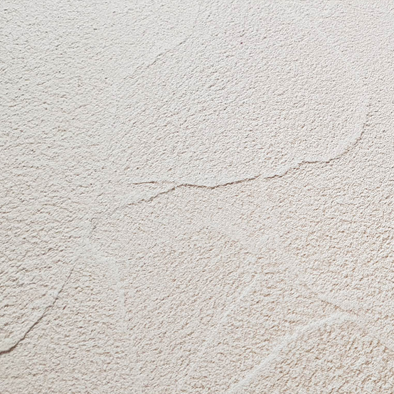 Provence 普羅旺斯